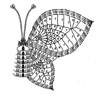 схема бабочки 10