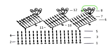 Сзема тесьмы 8
